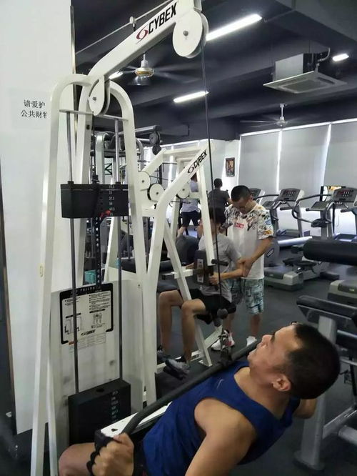 人民網測評 健身護具好幫手，ohmy fit健身護具全面評測報告